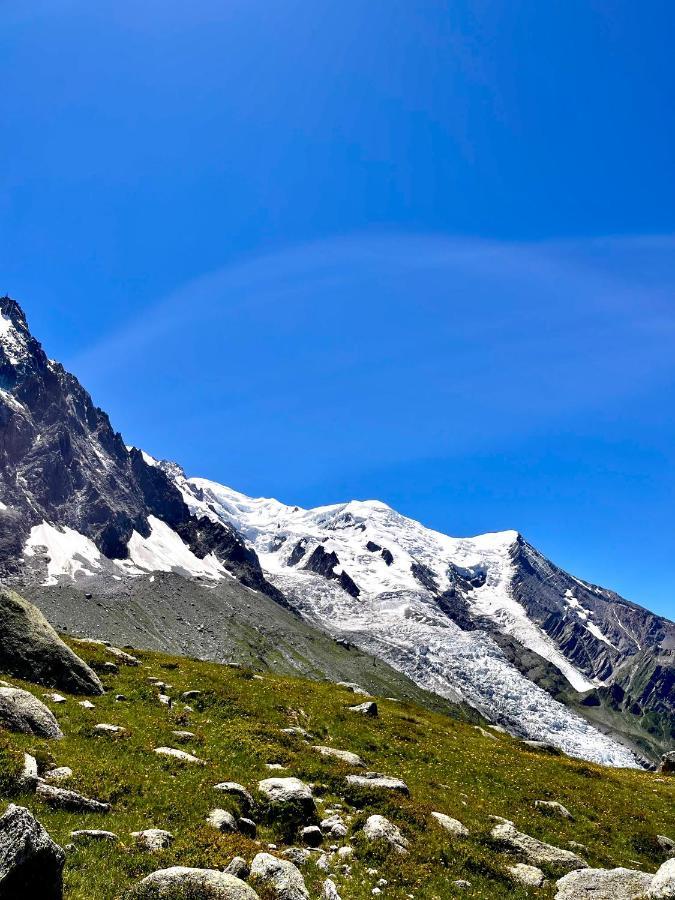 Le Nid De L'Aiguille - Au Pied De L'Aiguille Du Midi Apartamento Chamonix Exterior foto